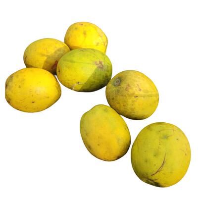 秦岭一木闻香木瓜野生酸涩青黄木瓜泡酒煲汤食用香木瓜装饰品木瓜