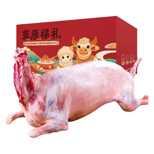 全羊整只内蒙古锡盟羊肉新鲜白条羔羊胴体非现杀烤可带皮年货礼盒