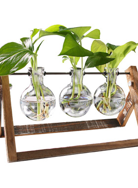 创意烧杯水培木架容器绿萝植物玻璃花瓶办公室桌面摆件插花瓶装饰