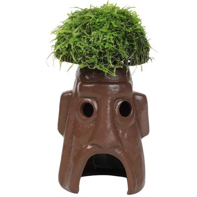 鱼缸莫斯水草鱼虾躲避罐