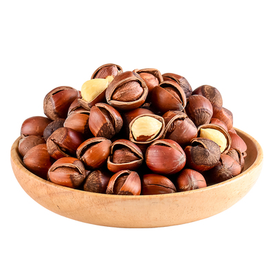 长白山开口榛子榛子长白山