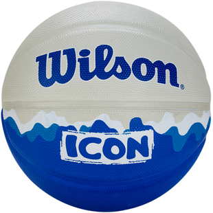Wilson威尔胜儿童篮球5号幼儿园专用五号球室外耐磨小学生7号篮球