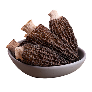 新货干货羊肚菌农家菌菇新鲜纯干羊肚菇蘑干货非野生炖汤食材