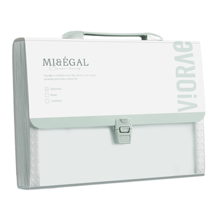 得力风琴包初中生专用试卷收纳袋文件袋大容量高颜值手提卷子整理神器多功能资料夹档案夹多层卷夹插页小清新