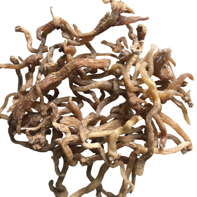 神农架深山采挖纯野生玉竹500克