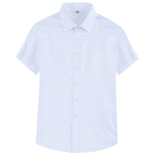 白衬衣女短袖夏季职业套装工作服正装工装宽松大码韩版长袖衬衫OL