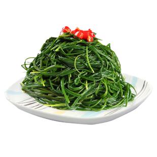 沙葱种子耐旱耐寒四季韭葱胡葱四季小葱种籽盆栽阳台种菜蔬菜种孑
