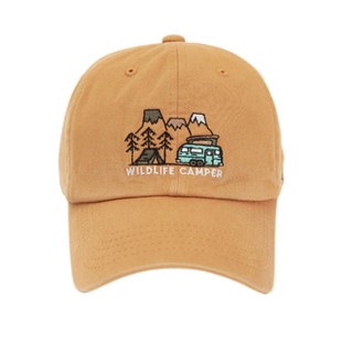 韩国正品代购Flipper棒球帽子休闲百搭个性刺绣大码时尚鸭舌帽潮