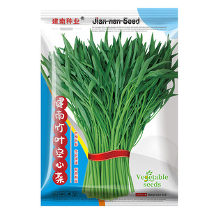建南种业竹叶空心菜种子四季菜可水培光杆柳叶蕹菜种籽蔬菜菜籽