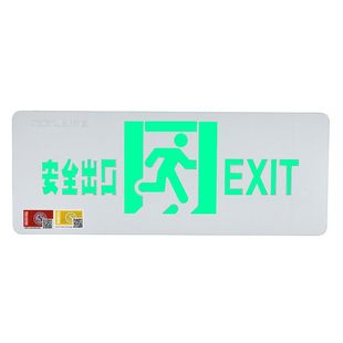 东君非集中电源集中控制款指示灯消防安全出口应急紧急疏散标志牌