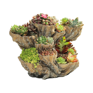 仿木树桩大口径创意多肉造型花盆肉肉专用盆家用多口花盆特价清仓