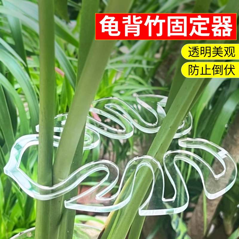 龟背竹支撑杆植物防倒伏支架花卉水培收拢固定架春羽绿植物固定器