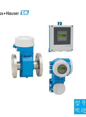 议价EH电磁流量计5P5B15-5CH1/0恩德斯豪斯P500感测器液体测量变