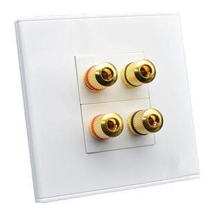 86型二位音箱插座面板2个5.1立体环绕音箱多媒体音响面板墙壁面板