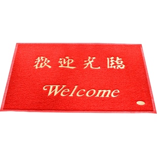 进门地垫入户门口欢迎光临地毯家用防滑门垫定制logo出入平安脚垫
