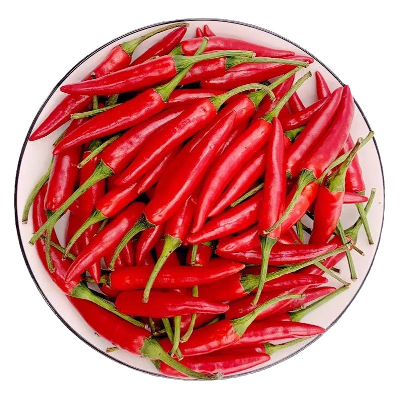 小米椒辣椒现摘新鲜朝天椒农产品