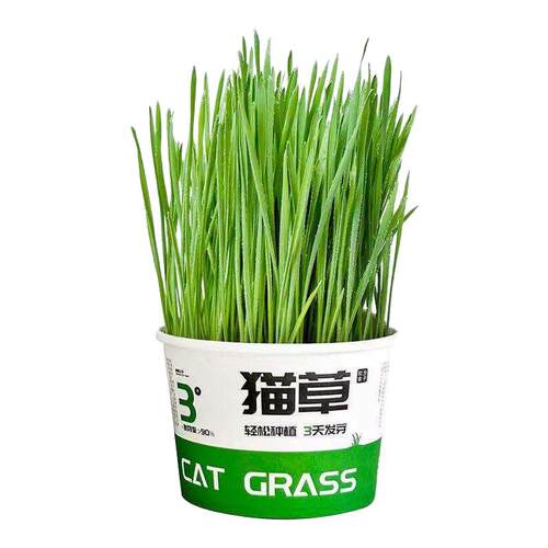 鹦鹉麦芽草粮大麦种子鹦鹉啃咬饲料鸟草盒零食促进消化解闷防啄毛