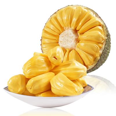 海南黄肉菠萝蜜甜脆爽口