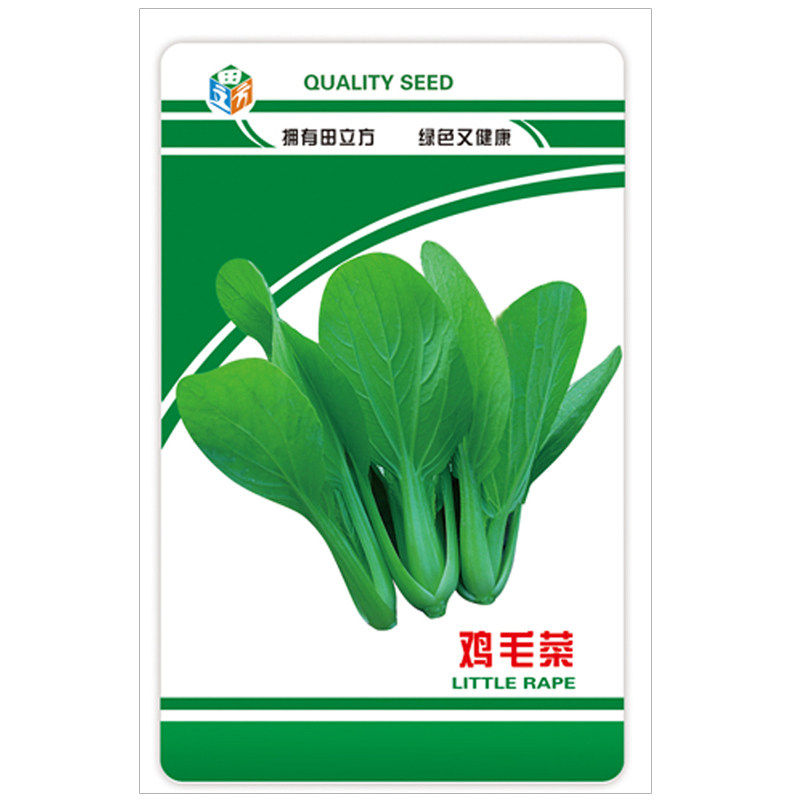 四季鸡毛菜种子小青菜上海青四季蔬菜种籽阳台庭院蔬菜种子大全