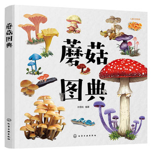 官方正版 蘑菇图典 孙雪松 3-8岁儿童孩子幼儿园低年级一二三年级宝典科普读物图书籍 真实手绘图片 形态各异的蘑菇