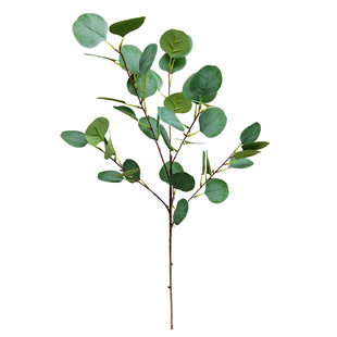 北欧ins仿真尤加利叶绿叶树叶假叶子装饰摄影道具婚庆装扮 金钱叶