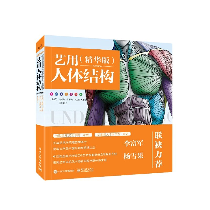 当当网 艺用人体结构（精华版）人物解剖教程 零基础初学者肌肉骨骼造型技法书 电子工业 素描绘画书插画画册画集手绘伯里曼教学书