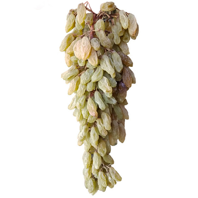 整串带枝干吐鲁番无核白葡萄干