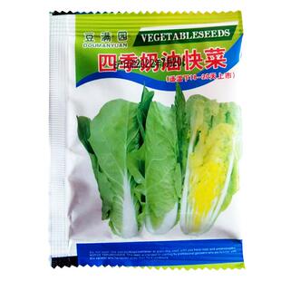 四季奶油快菜种子种籽小白菜蔬菜青菜菜种孑子籽种大全白莱快菜种