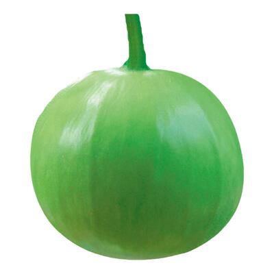鼎牌早生3号圆满高产蔬菜瓠子