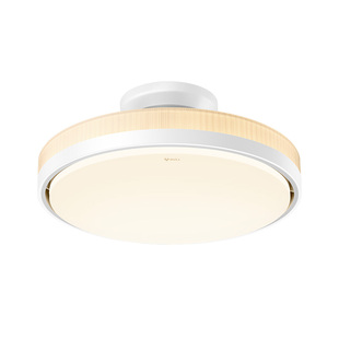 公牛房间卧室灯吸顶灯带遥控器包安装护眼主卧2025新款带风扇的灯