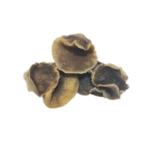 丹东特产新鲜香螺肉冰鲜冷冻玉螺肉冻香螺肉纯海螺肉海鲜熟冻贝