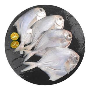 全清鲳鱼 800g (100-150g/条)深海捕捞舟山鲳鱼