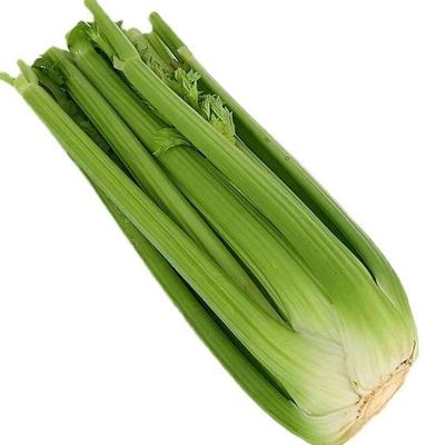 正宗西芹专用新鲜自种榨汁农家优质绿色脆嫩青菜芹菜时令蔬菜批发