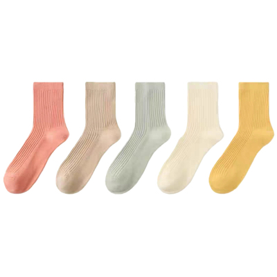 纯棉女袜中筒秋冬款柔软舒适百搭马卡龙莫兰迪色系纯白双针长绒棉