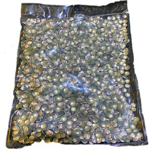 新品批花烫片环保胶亮片 衣服diy装饰平片银白色圆形服饰铆钉配件