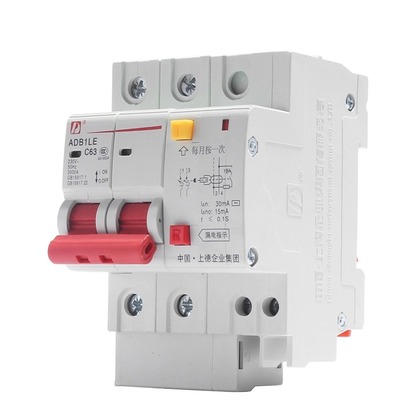 d牌小型漏电保护器带总空开单相