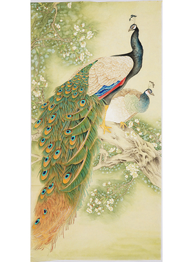 四尺孔雀手绘精品梨花题款国画