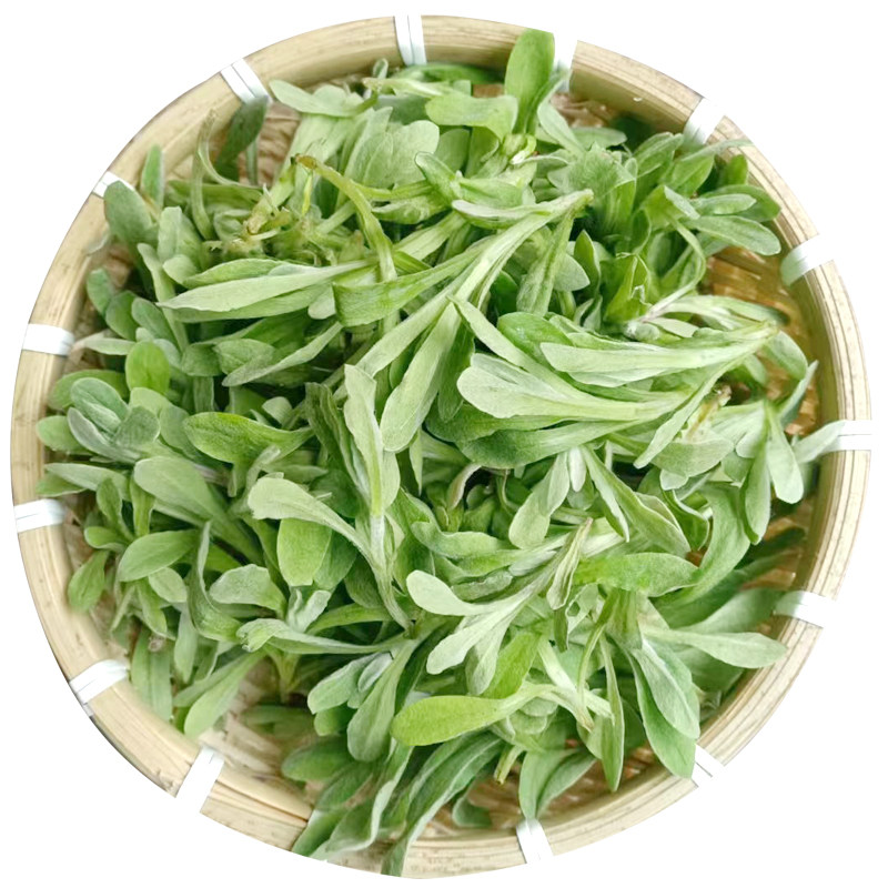 重庆鼠曲草野生新鲜晒干清明草粑艾叶农家清明菜青团水萩菠草包邮