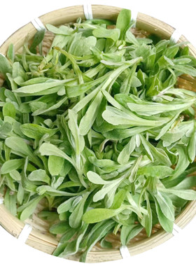 重庆新鲜鼠曲草农家清明草包邮