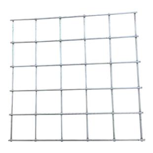 鸽棚加密鸽舍地围网镀锌电焊网片养殖网长孔格网铁丝网鸽子防护网