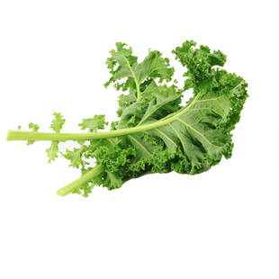 新鲜蔬菜雨衣甘蓝500g嫩叶芥蓝菜kale雨羽衣甘蓝蔬菜沙拉食材榨汁