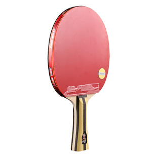 红双喜乒乓球拍4星狂飙三星小学生专用初学者专业乒乓球套装正品