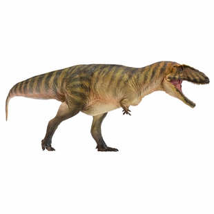 PNSO恐龙大王成长陪伴模型50鲨齿龙甘巴恐龙手办益智正品