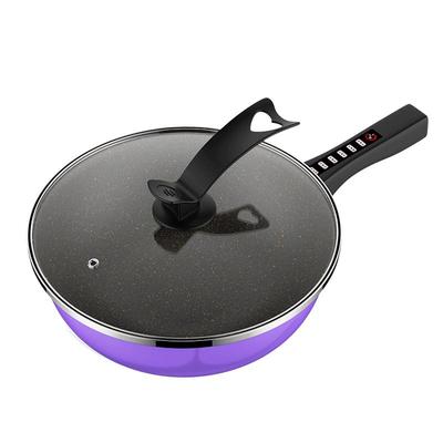 臻纳德原石电炒锅原698起速抢！