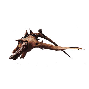 中大型拱桥沉木 鱼缸造景大号树桩 水草天然紫柚杜鹃根拱型龟晒台