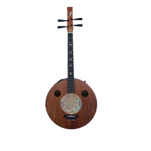 国风中式礼物摆件挂件装饰背景玄关茶室高端木制禅意阮咸琴包邮