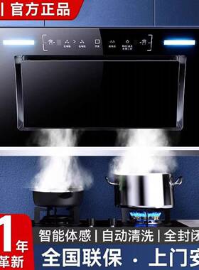 双倍吸力新飞油烟机厨房家用正品抽油烟机侧吸出租屋家用清洗