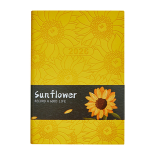 2026年日程本a5笔记本本子每日计划表工作用记事本效率时间管理手册一天一页大学生学习考研高颜值加厚日记本