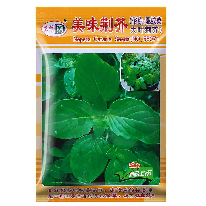 荆芥种子买2送1不发芽补发
