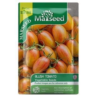 【官网高分】网友反馈纯甜多汁Blush脸红腮红羞涩樱桃小番茄种子